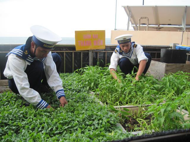Island soldiers’ vitality